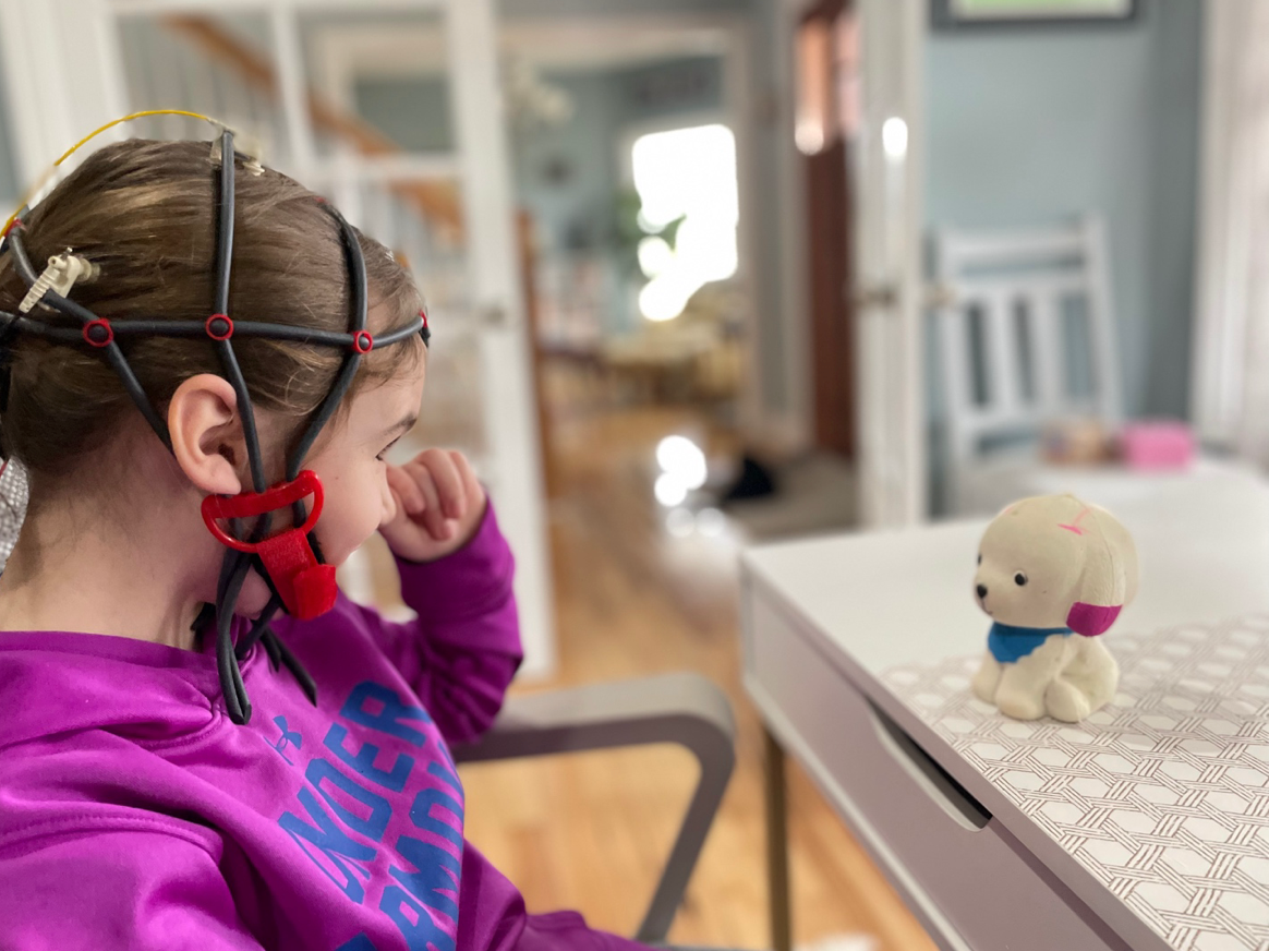 Girl wearing brain monitoring cap looking at a toy dog on a desk.