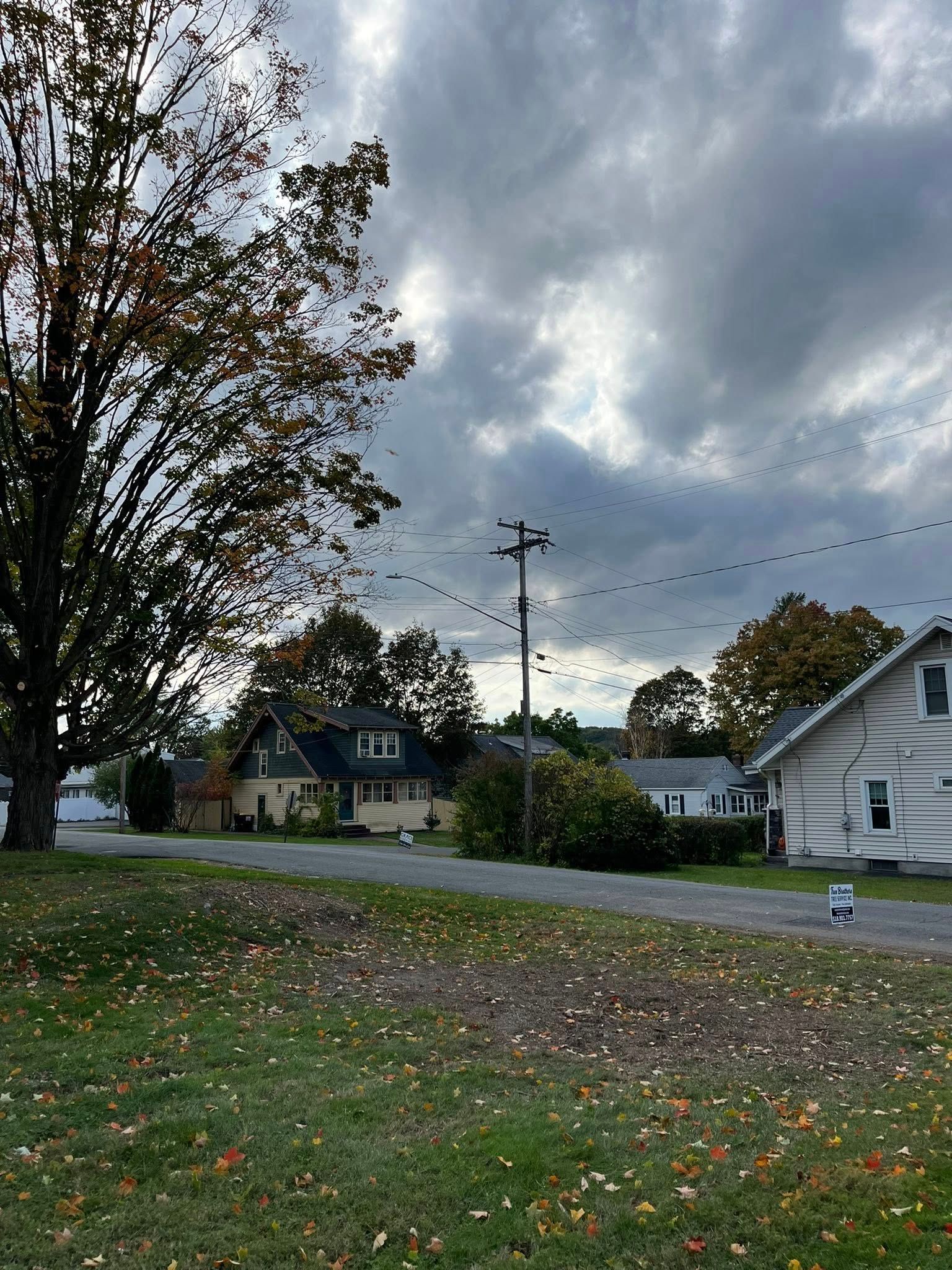 Residential street scene with cloudy sky, trees, and houses.