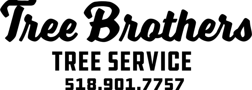 Logo for Tree Brothers, a tree service company, with their phone number.