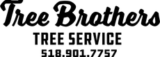 Logo for Tree Brothers, a tree service company, with their phone number.