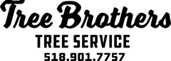 Logo for Tree Brothers, a tree service company, with their phone number.