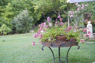 giardino