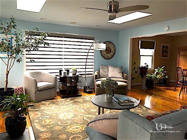 Living room with blue walls, hardwood floor, two armchairs, rug, plants, and natural light.