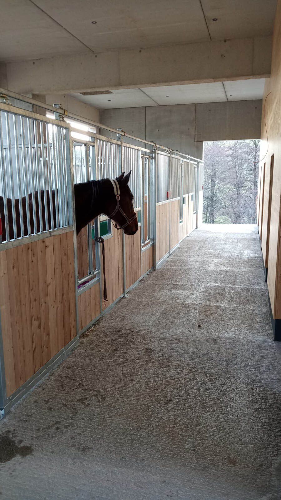 Stellplatz Pferd