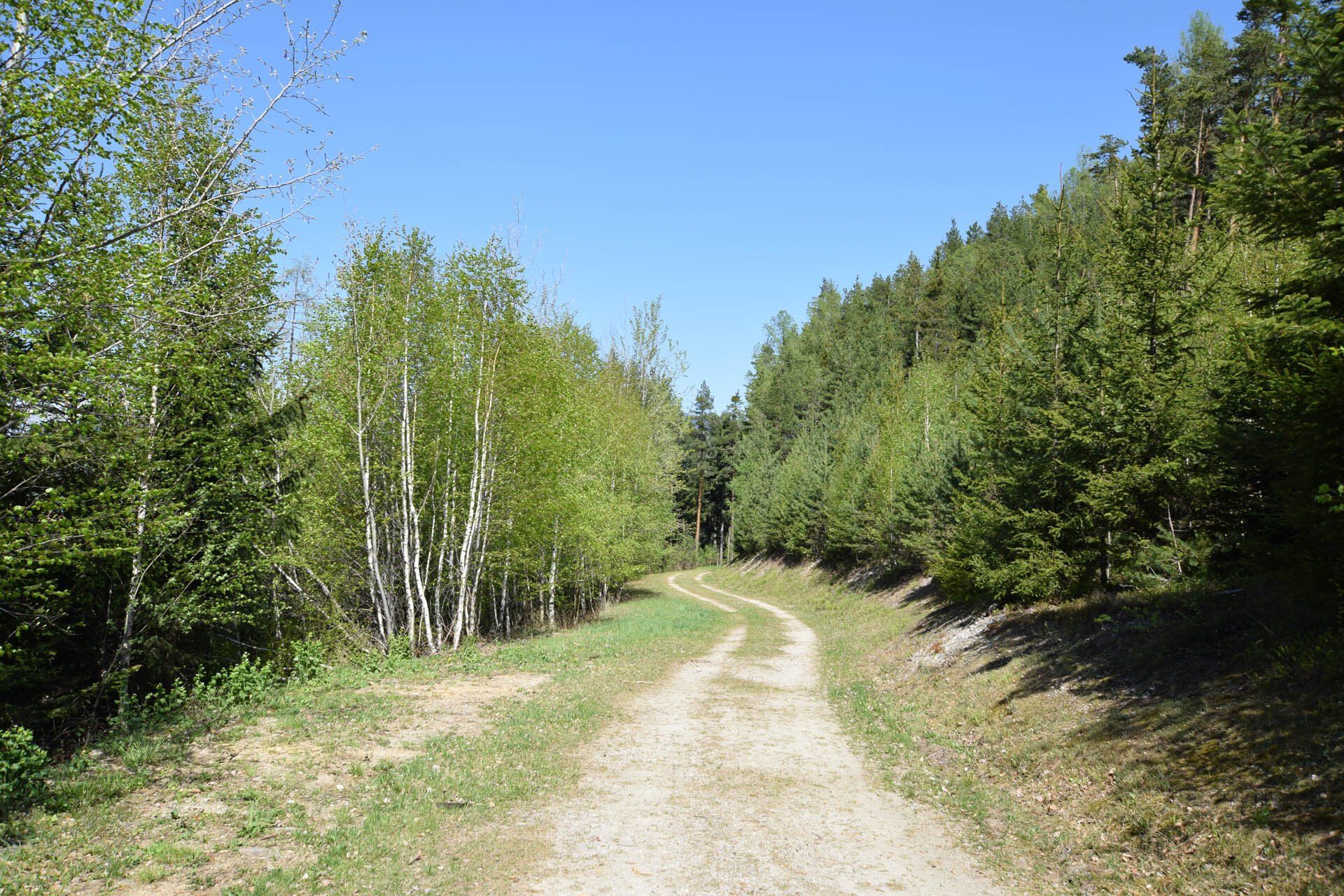 Reitweg