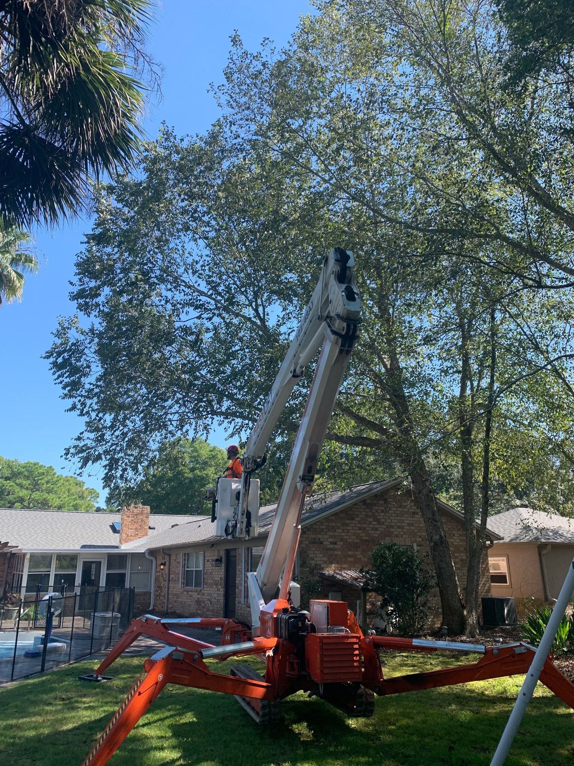 A man is cutting a tree with a crane in front of a house.