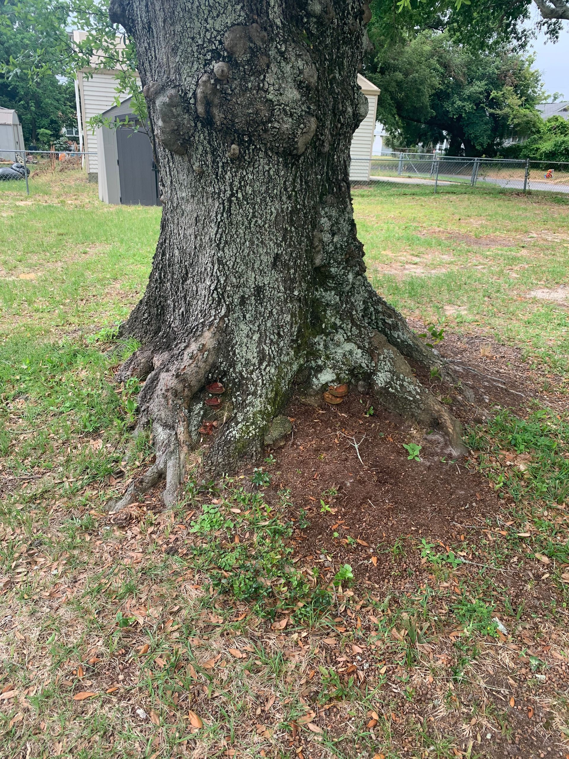 A tree trunk is sitting in the middle of a grassy field.