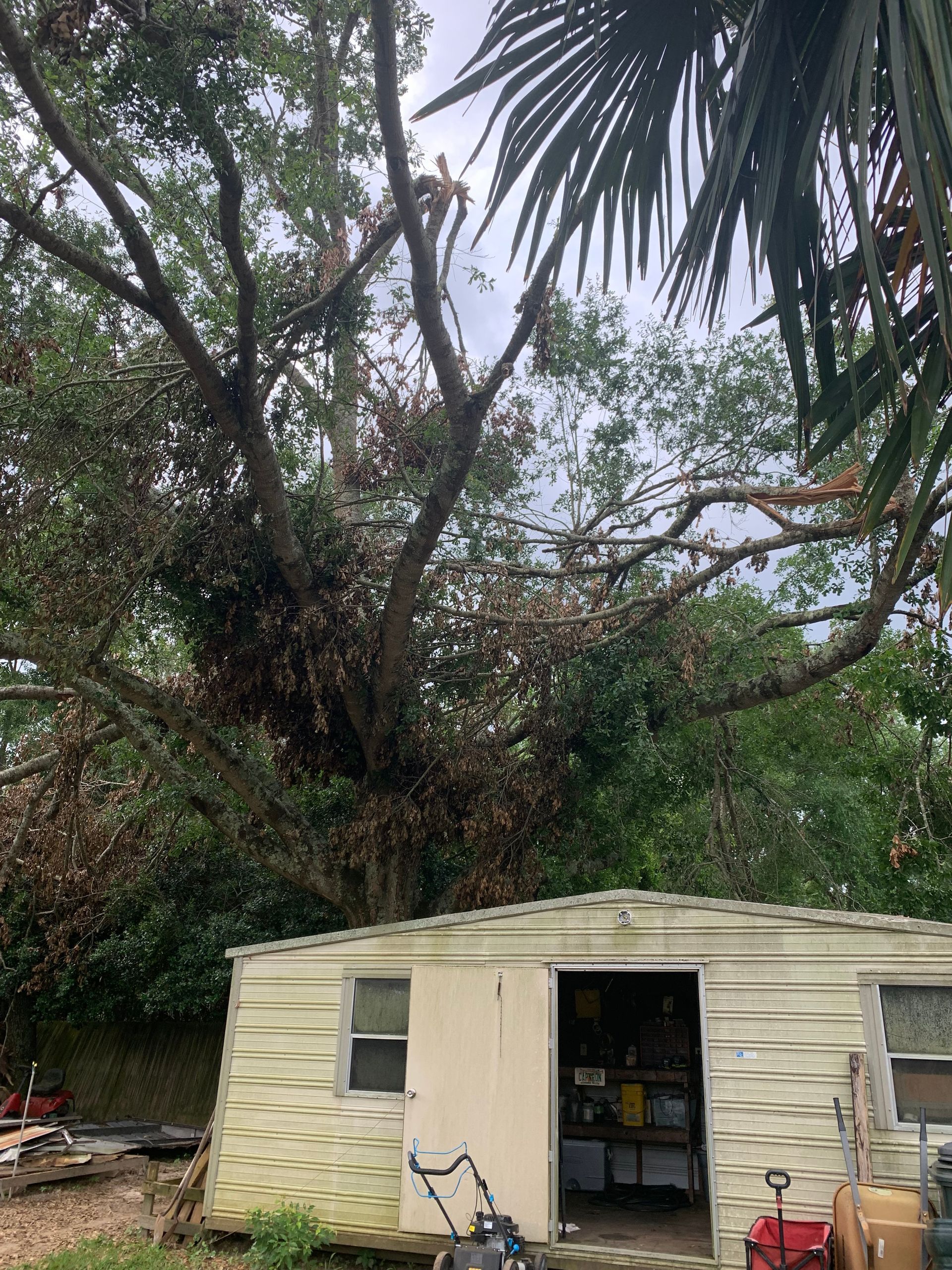 A white trailer with a tree growing on top of it.