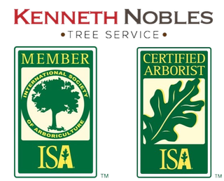 Kenny Nobles Tree Service Logo Kenny Nobles Tree Service Logo