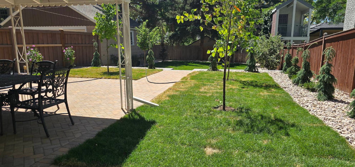 Backyard patio with outdoor dining set, green lawn, trees, and a brick wall in sunlight