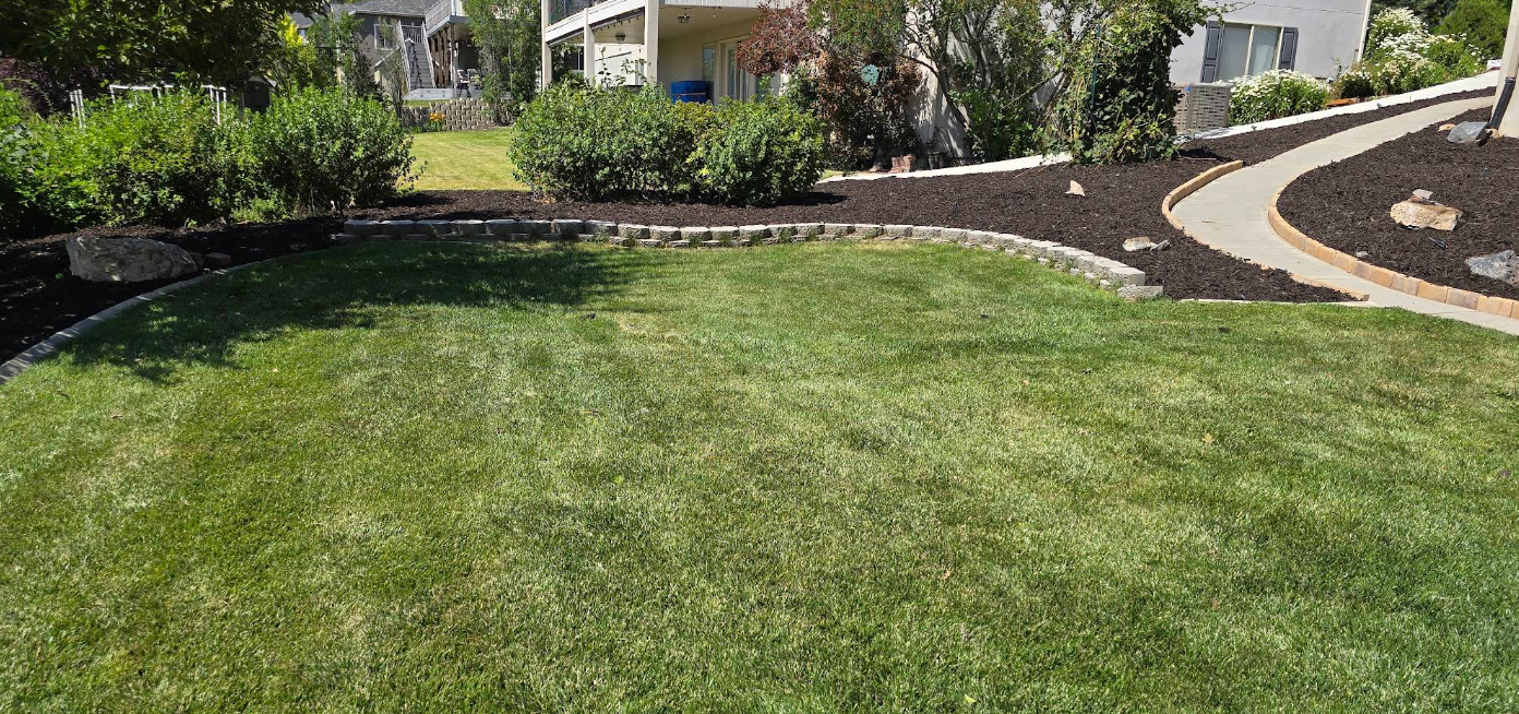 Landscaped front yard with a green lawn, shrubs, and a curved walkway by a house
