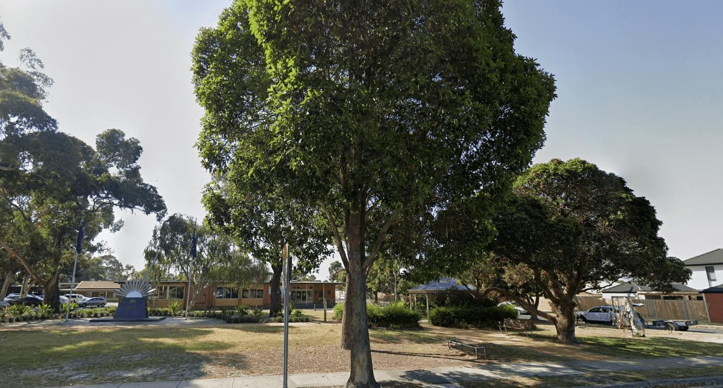 A Park with A Lot of Trees and A House in The Background — Murwillumbah District Plumbing Service in Uki, NSW