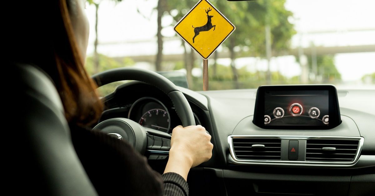 A woman with her hands on the wheel has a deer sign visible in the windshield. She is looking forward at the sign.