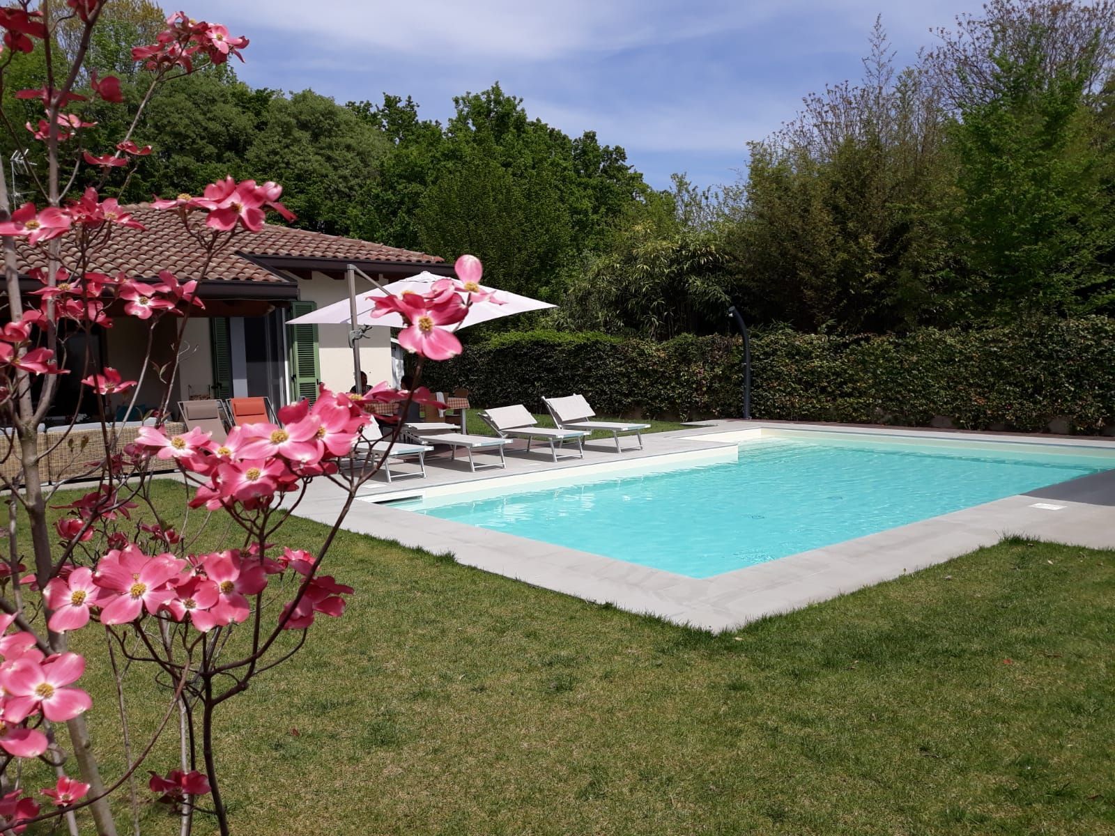 Piscina in giardino con lettini, fiori rosa in primo piano e un patio sotto un cielo azzurro.
