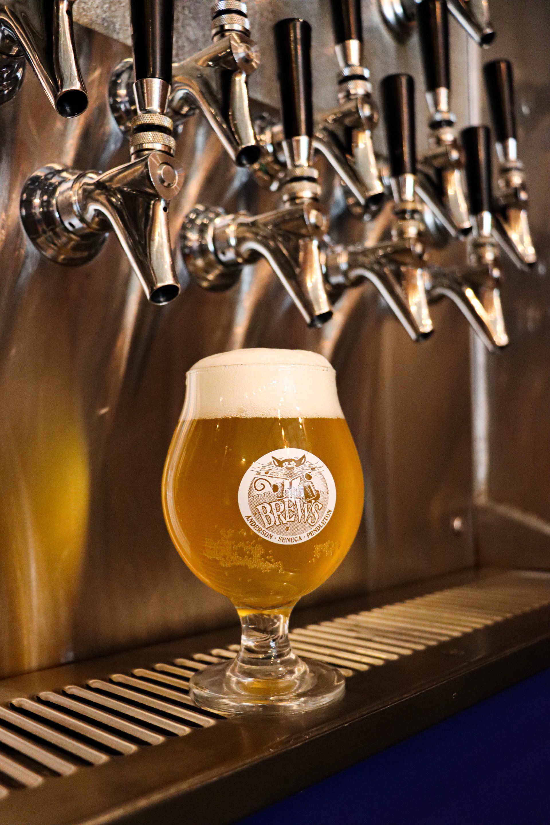craft beer