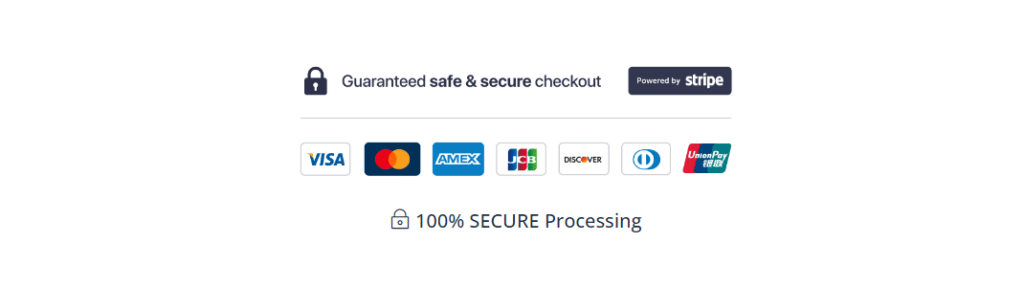 Icone di pagamento sicuro tra cui Visa, Mastercard, American Express e altre.