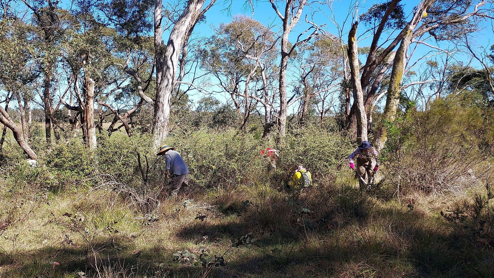PROJECT: Berrima Wildlife reserve