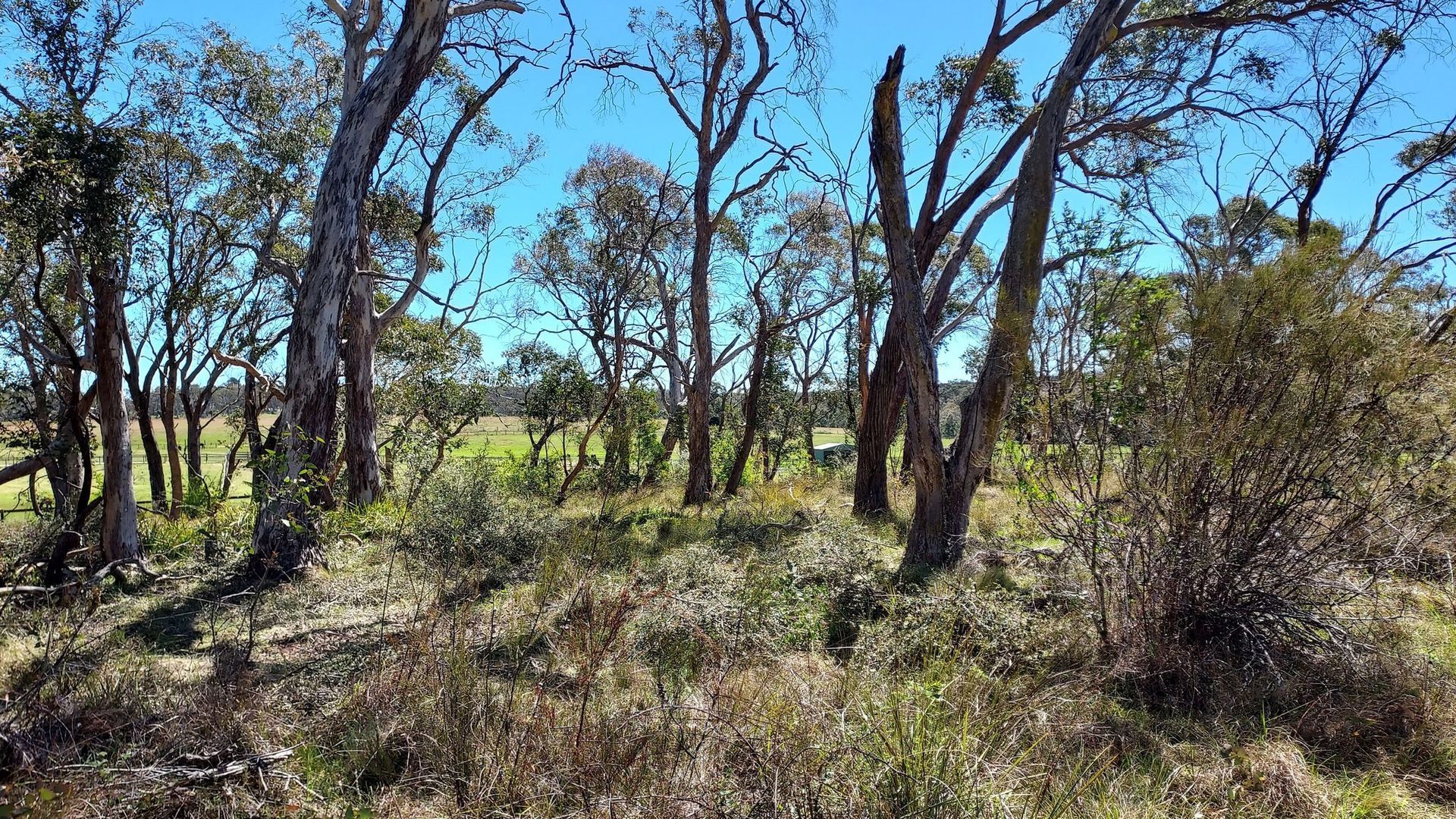 PROJECT: Berrima Wildlife reserve