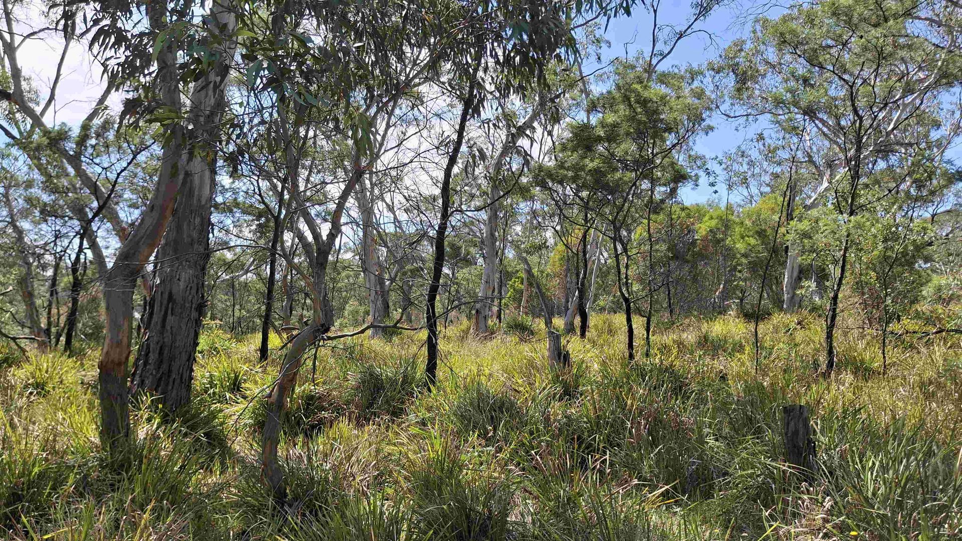 Berrima Wildlife reserve