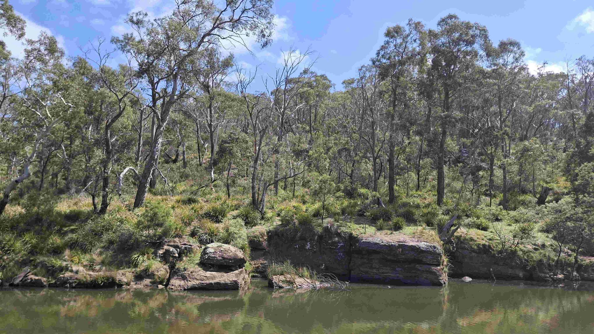 PROJECT: Berrima Wildlife reserve
