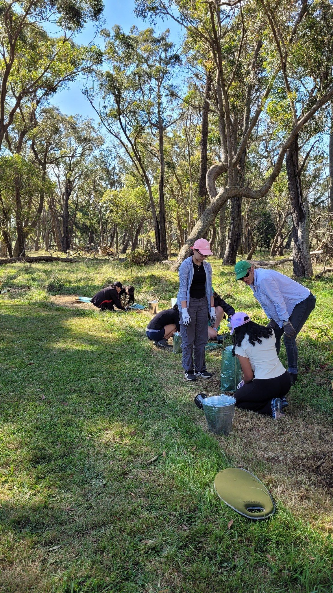People foraging near a bushy area, planting tree eedlings.