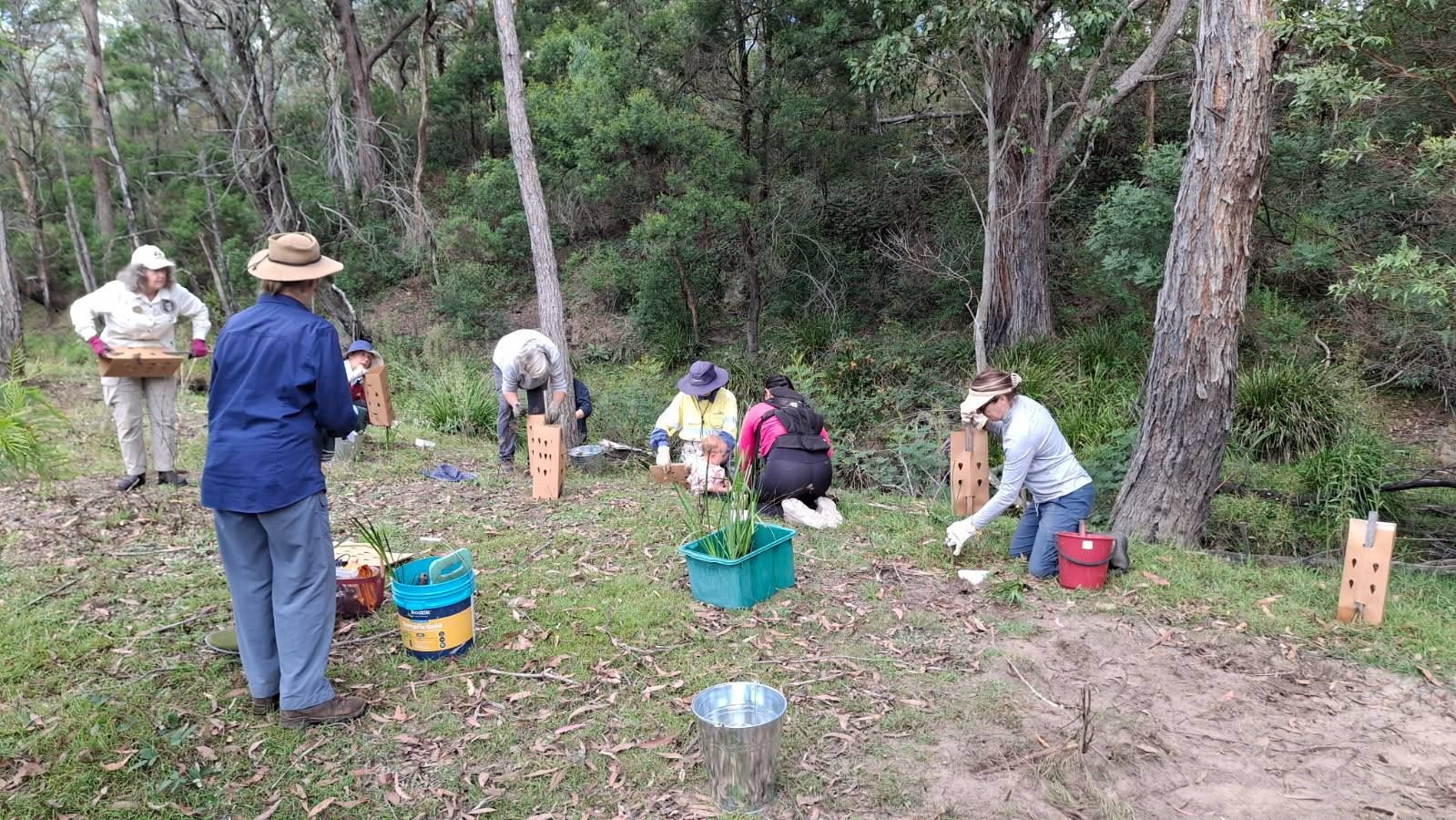 Helping Hands Revegetation Projects