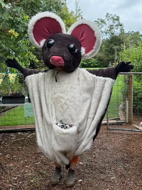Glenda the Southern Greater Glider!