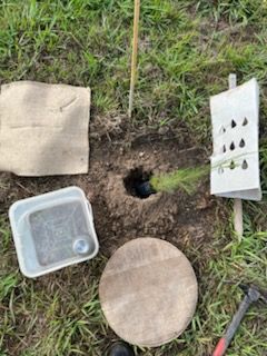 Helping Hands Revegetation Projects