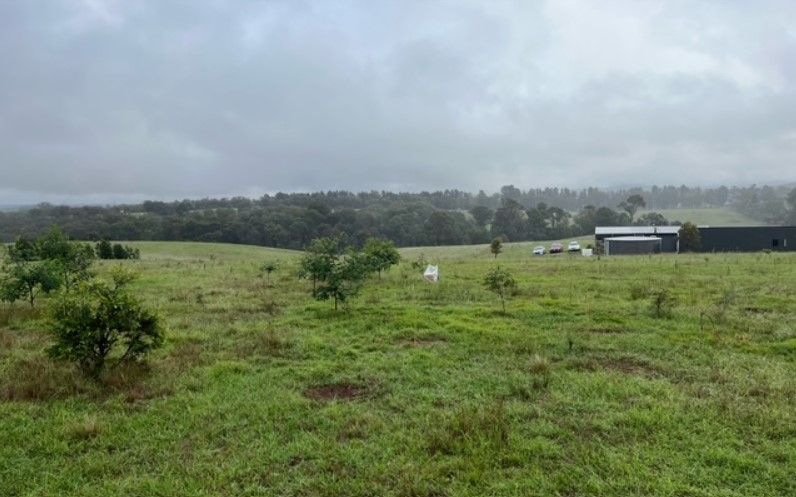 Helping Hands Revegetation Projects