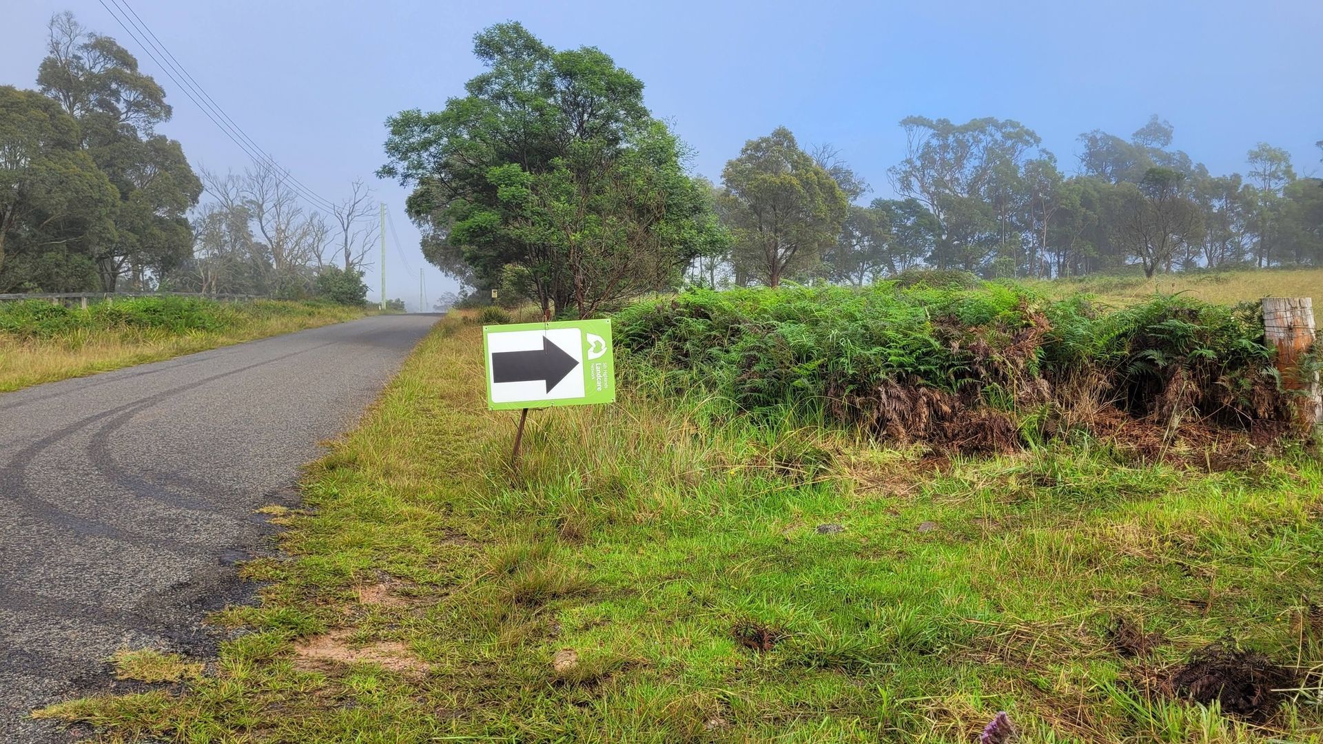Helping Hands Revegetation Projects