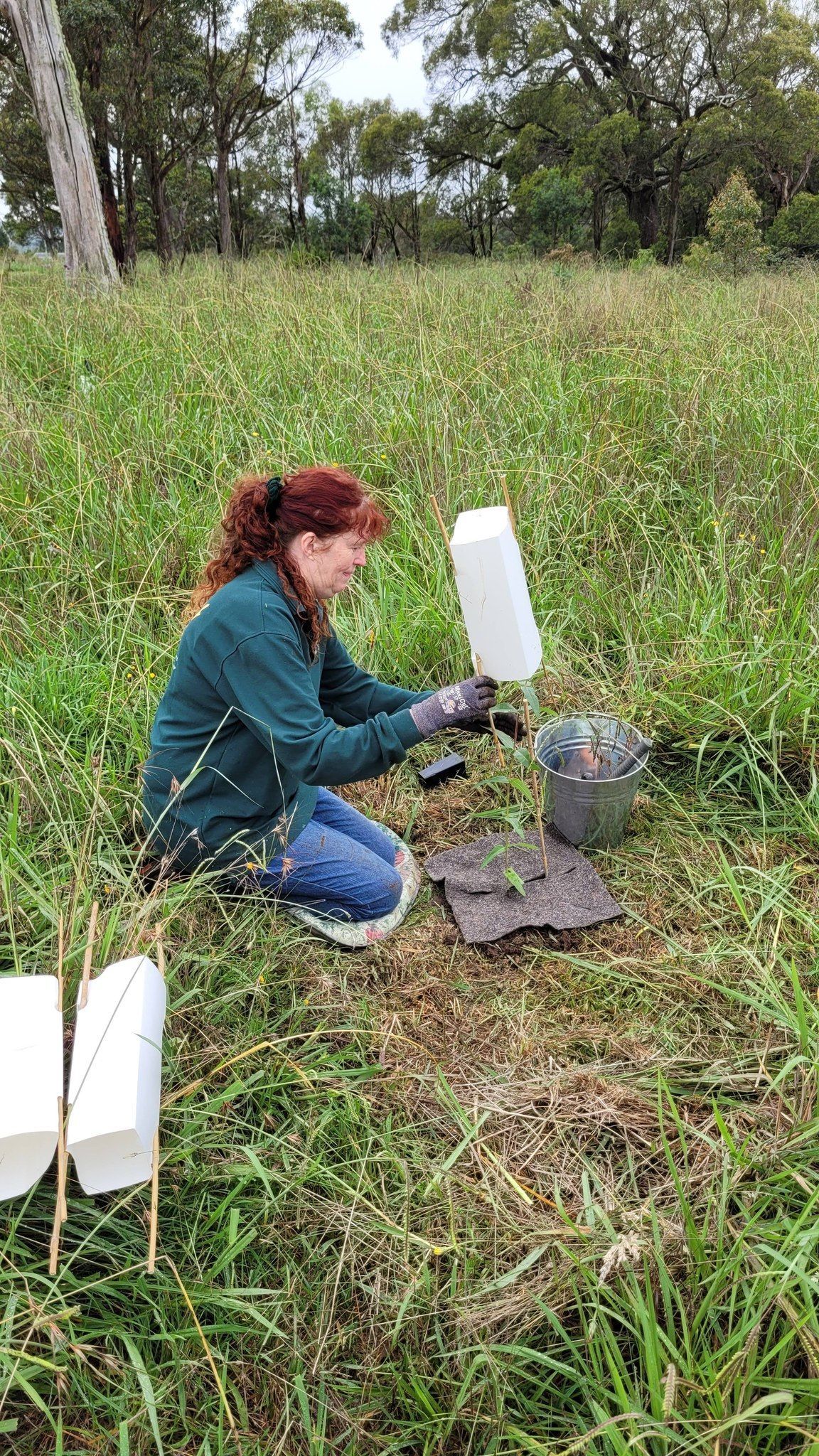 Helping Hands Revegetation Projects