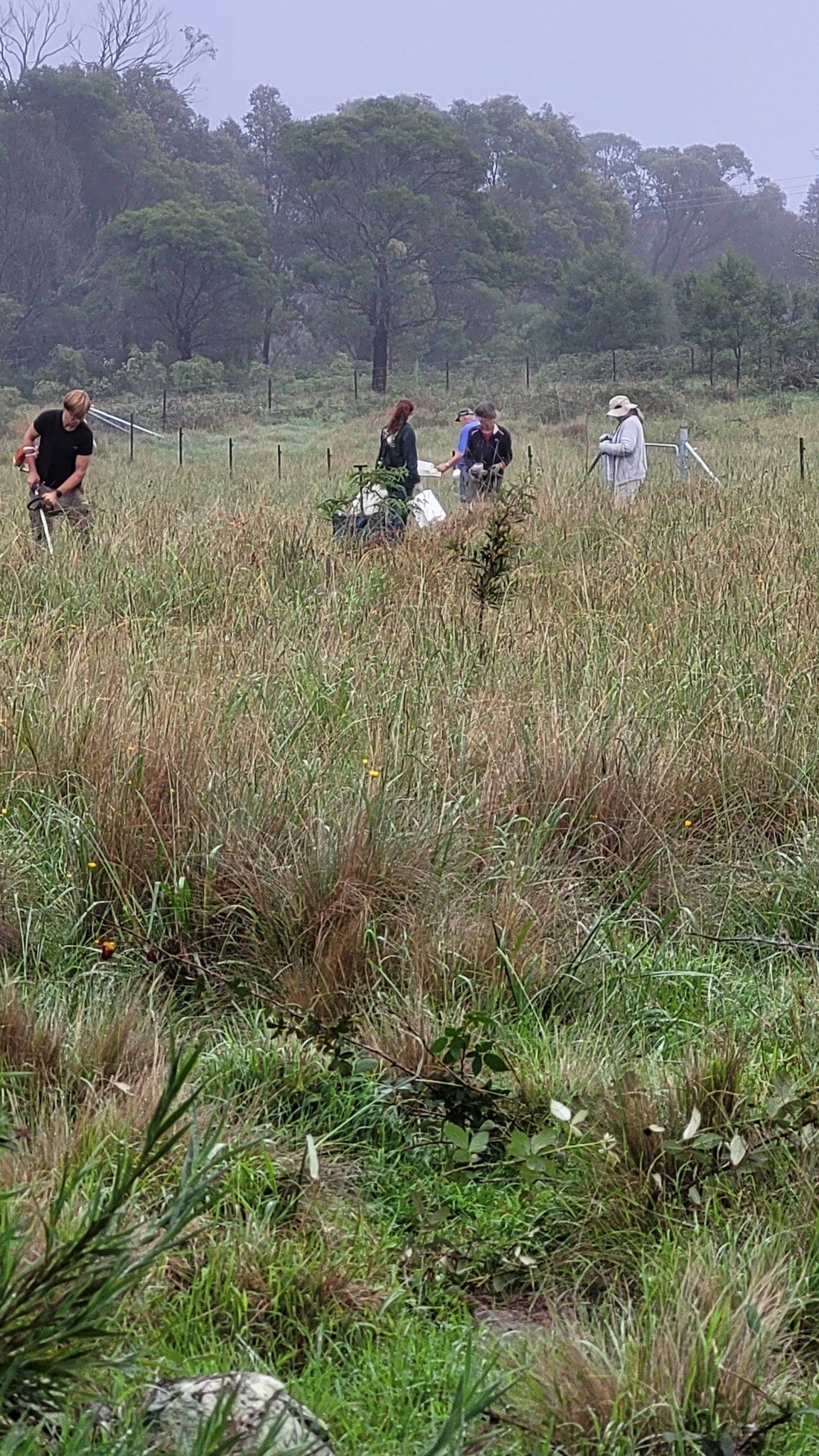 Helping Hands Revegetation Projects