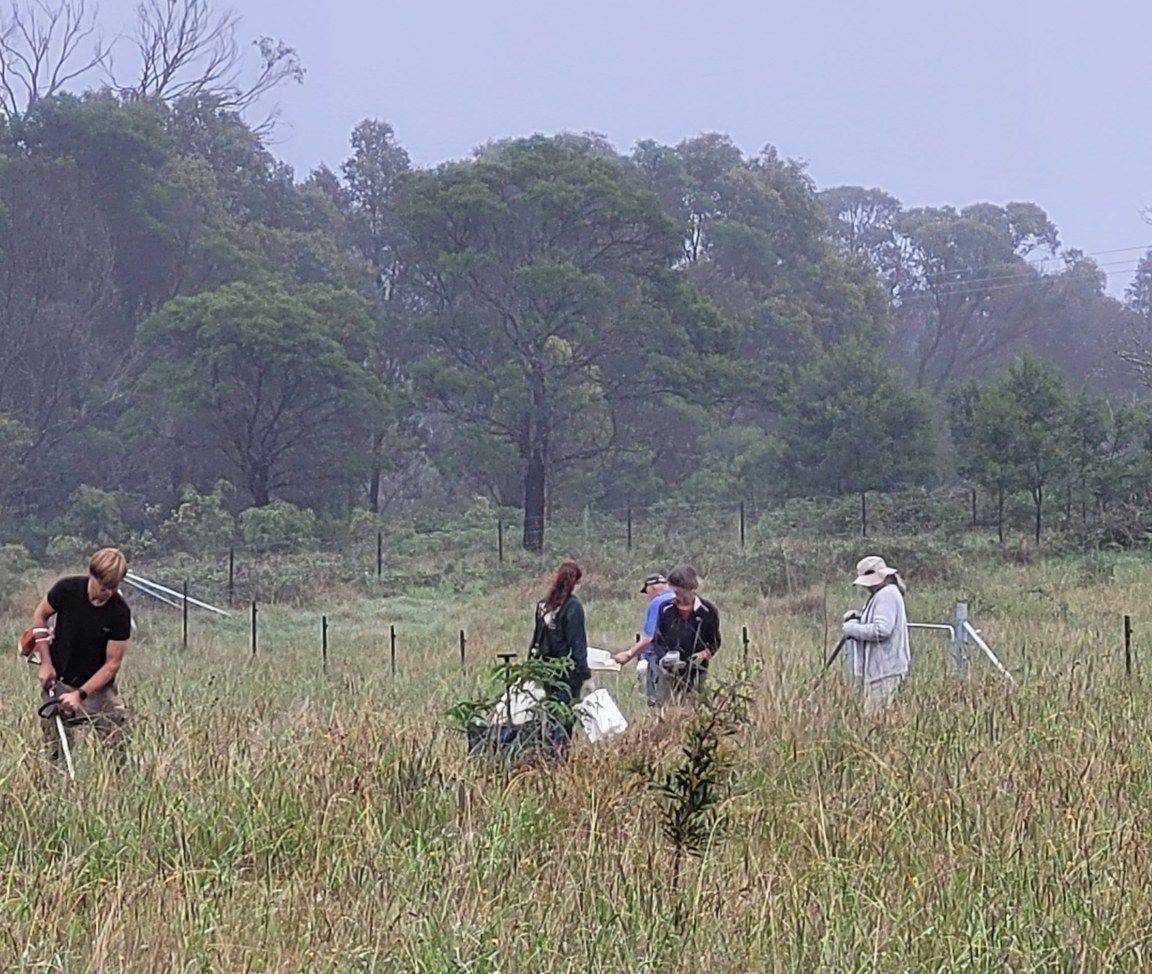 Berrima planting day