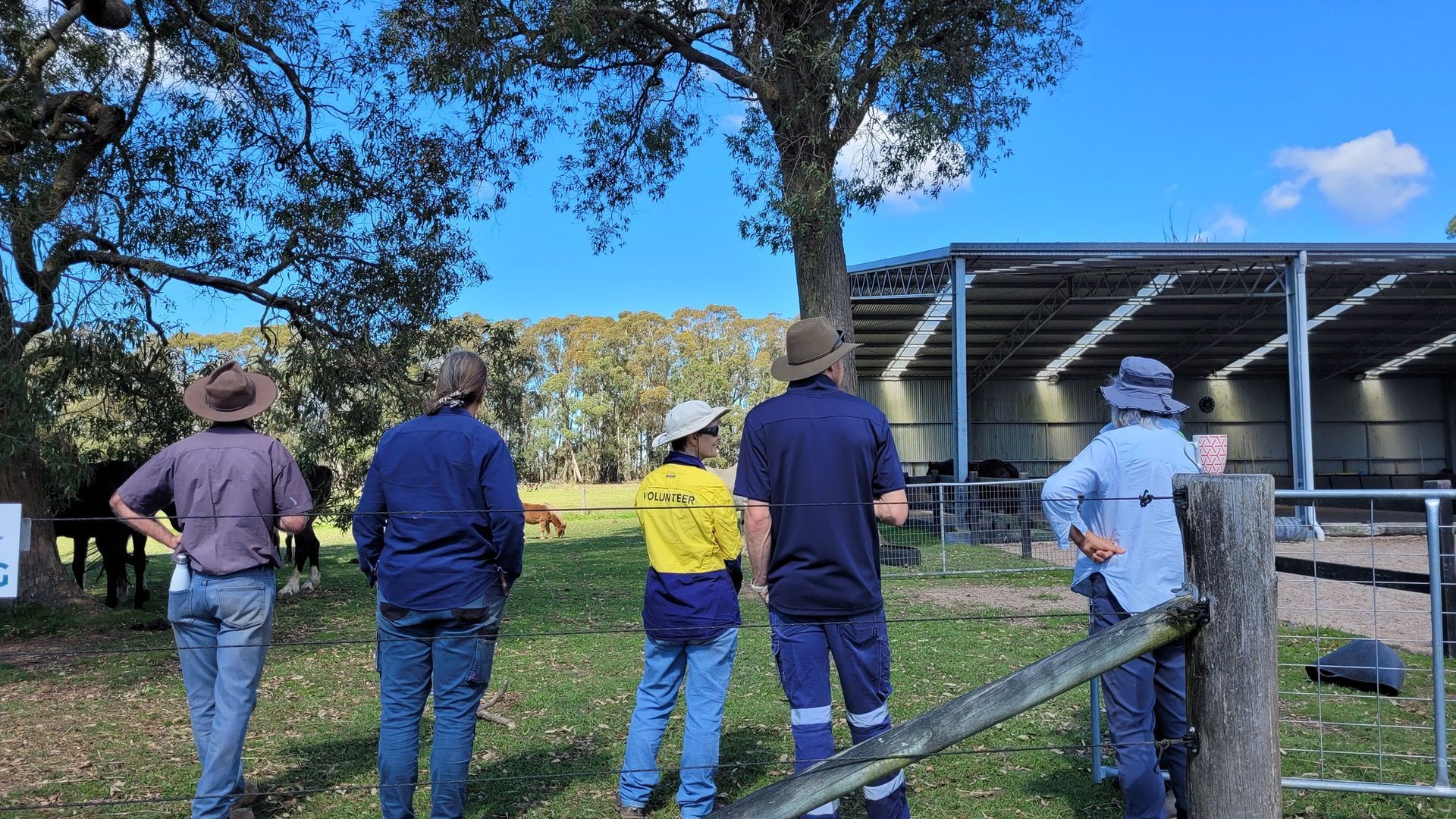 Helping Hands Revegetation Projects