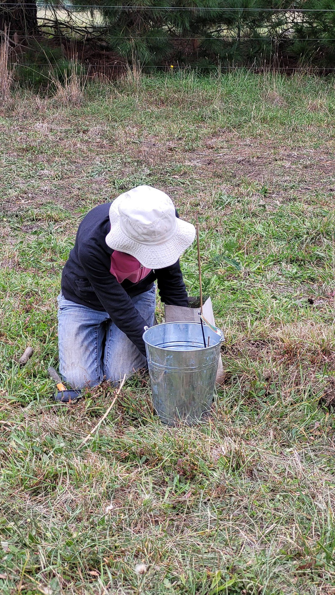 Helping Hands Revegetation Projects