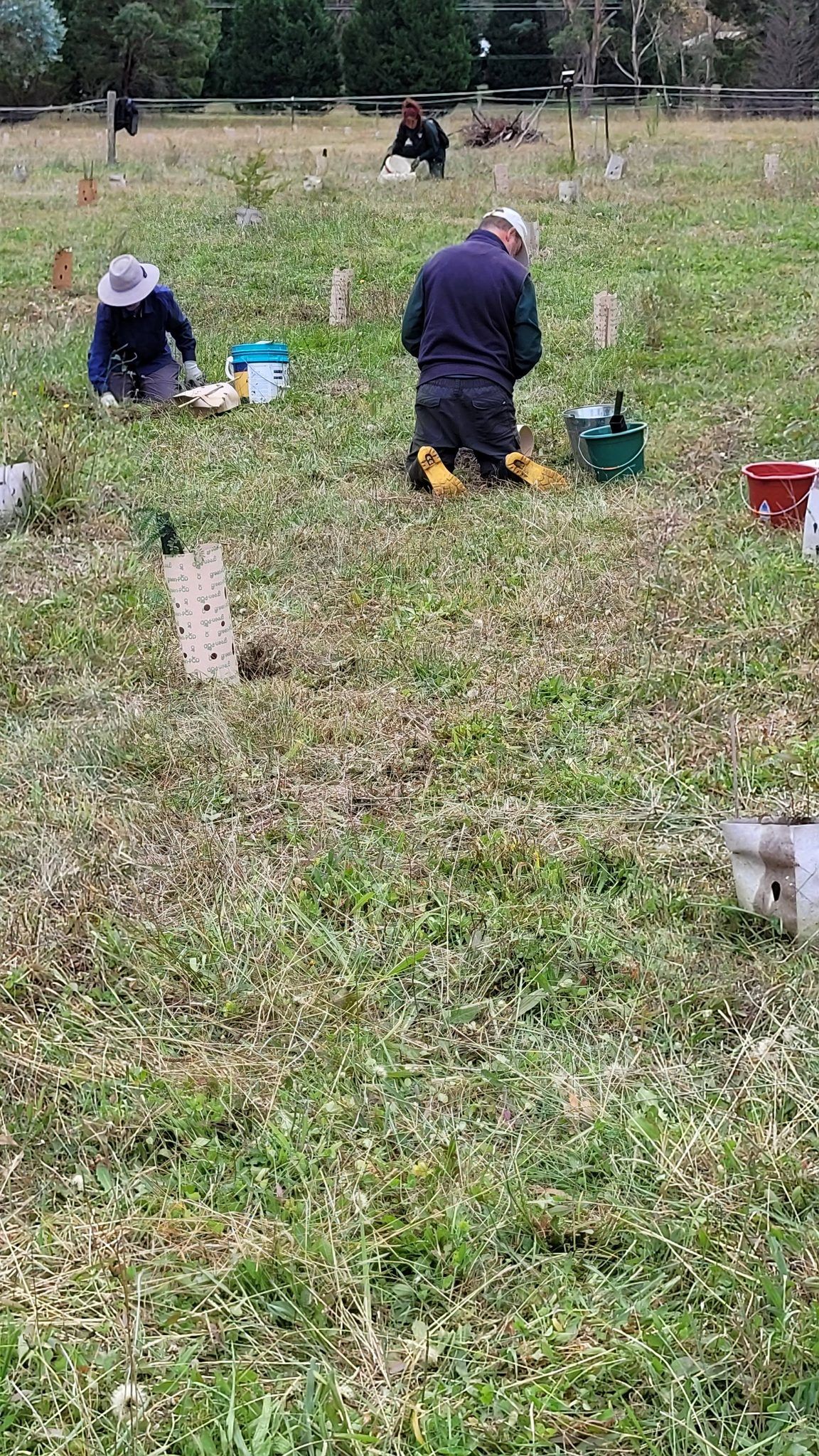 Helping Hands Revegetation Projects