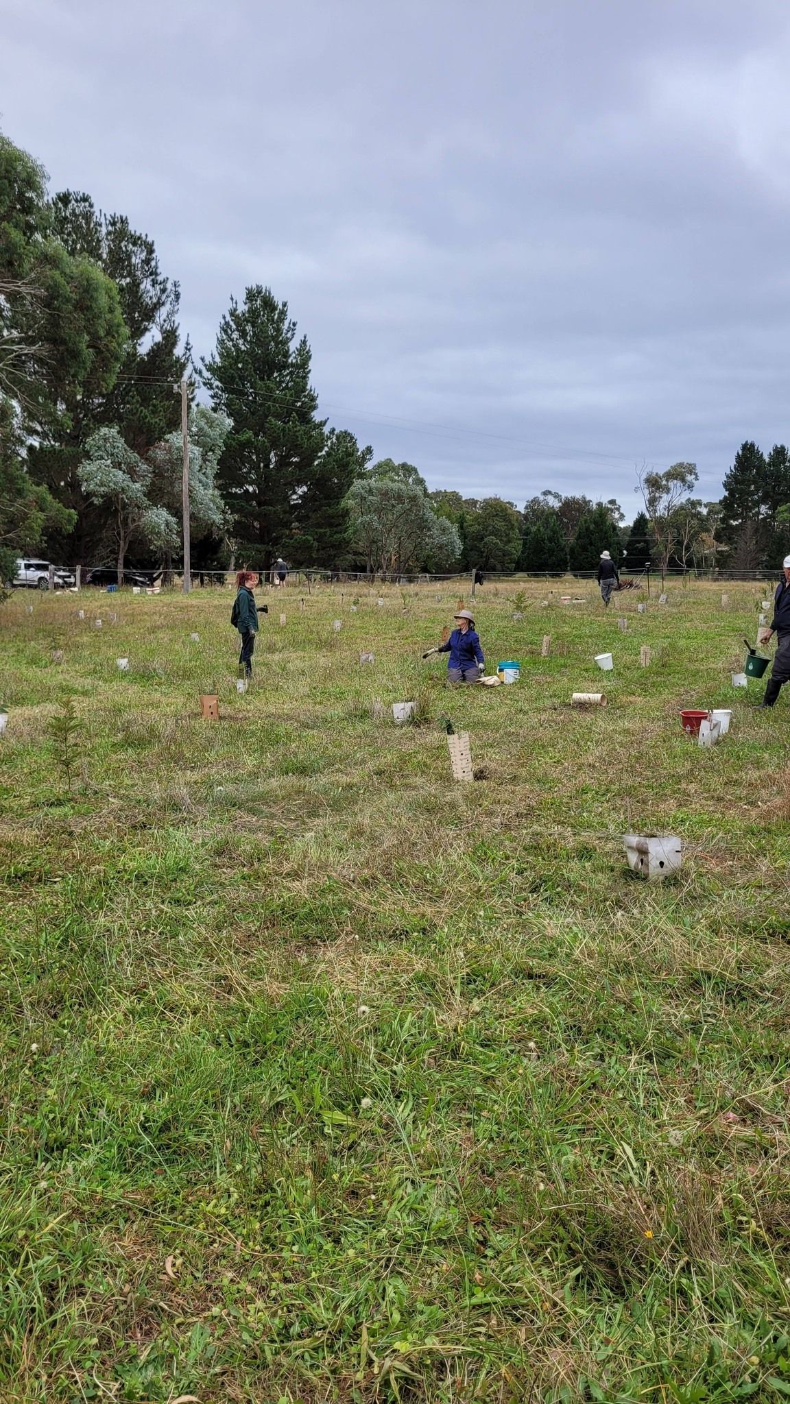 People scattered across a grassy field with small markers, under a cloudy sky.