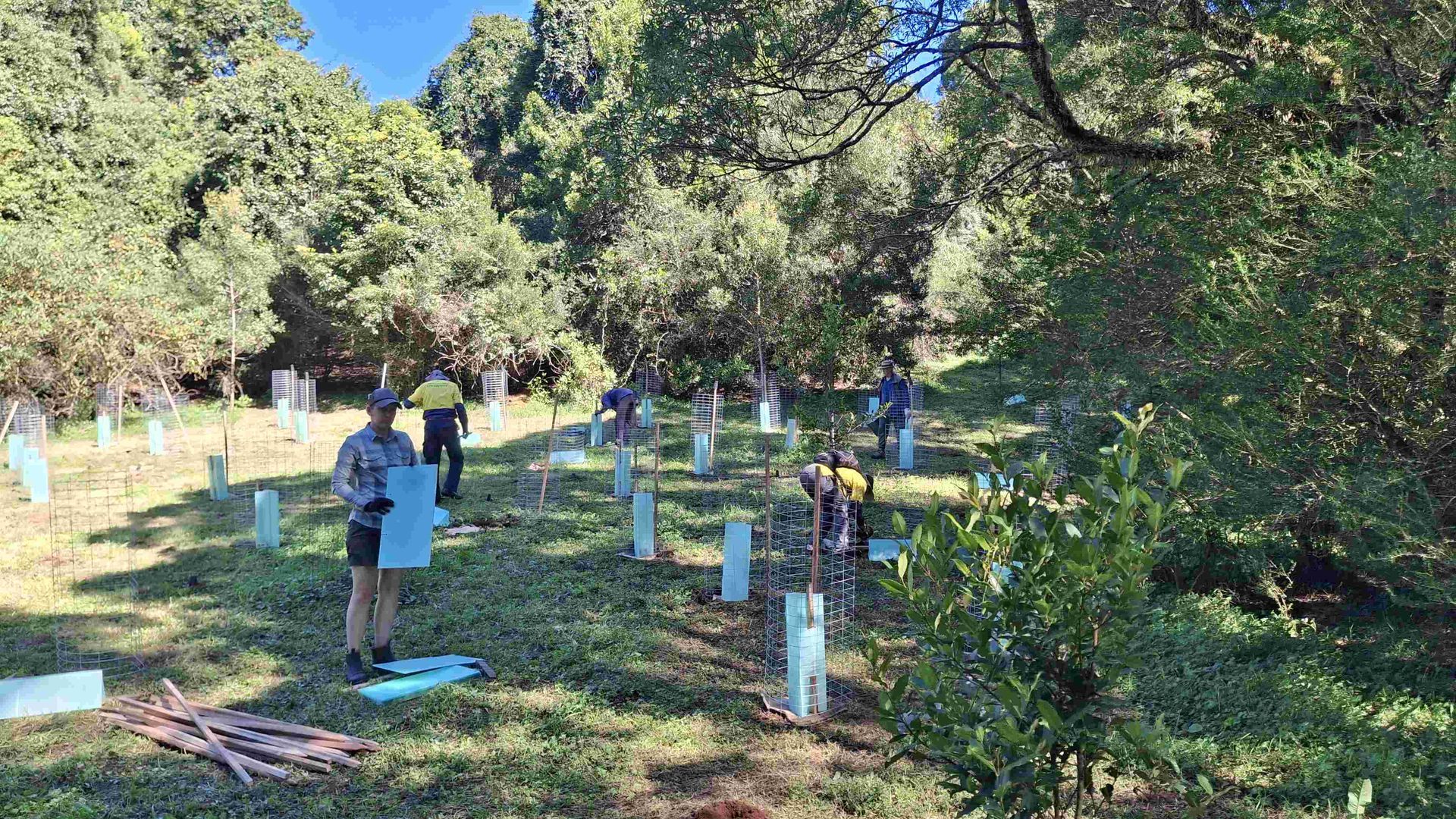Helping Hands Revegetation Projects