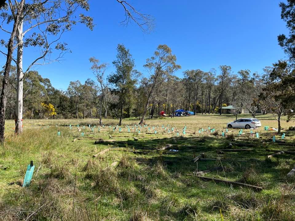 Berrima Scout Park