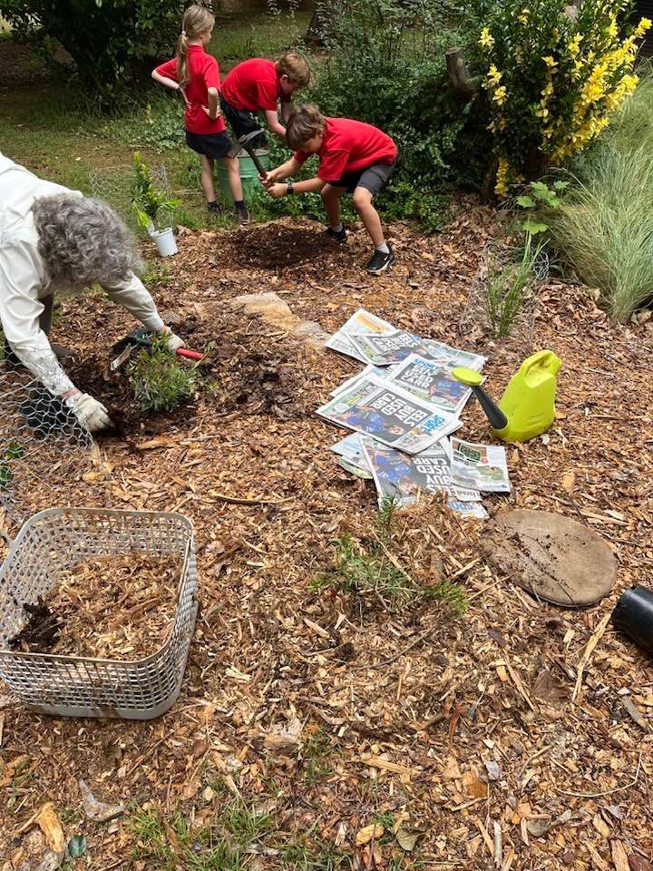 Butterfly garden