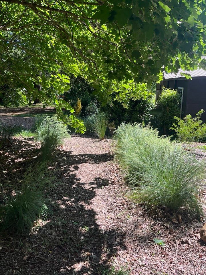 Butterfly garden