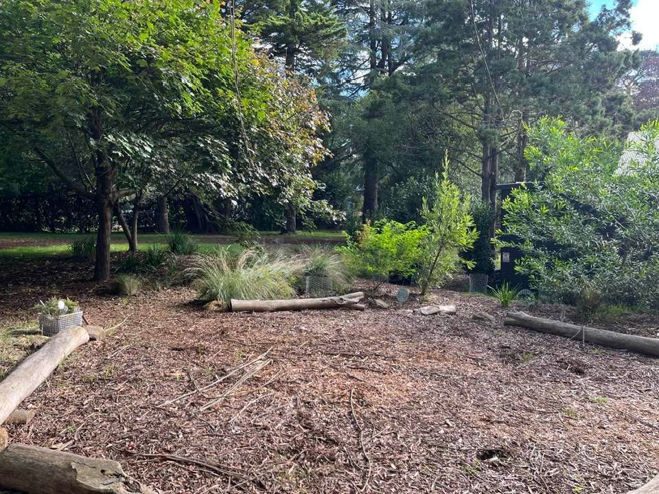 Butterfly garden