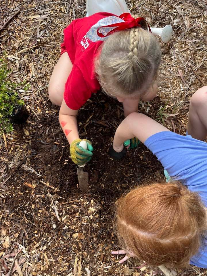 Butterfly garden
