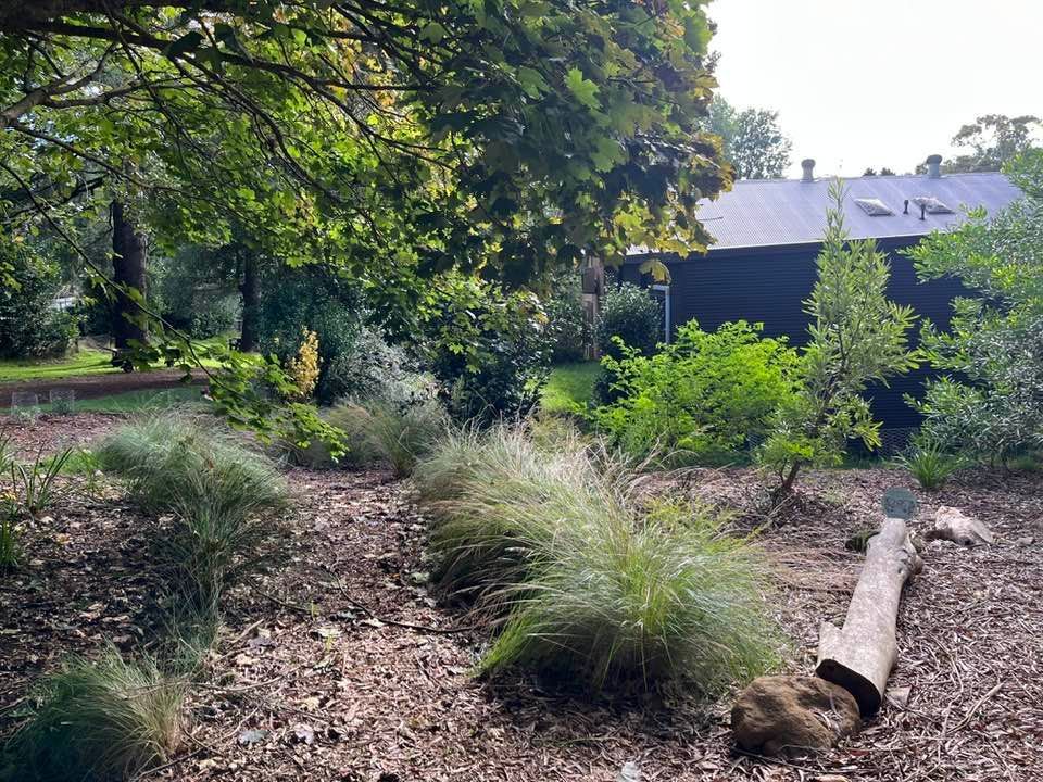 Butterfly garden