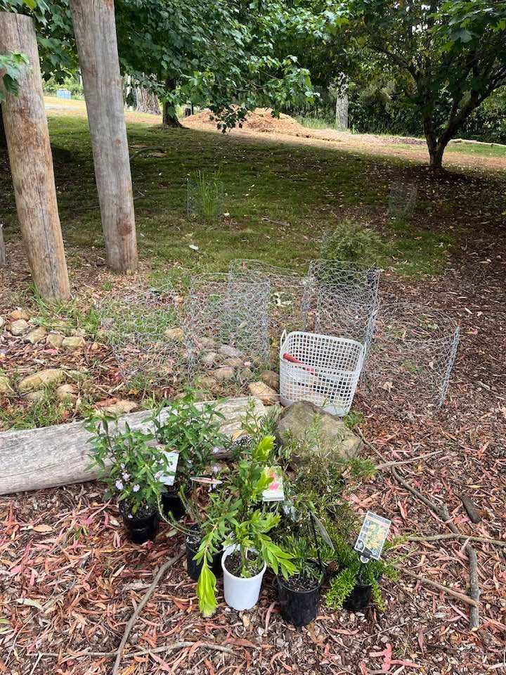 Butterfly garden