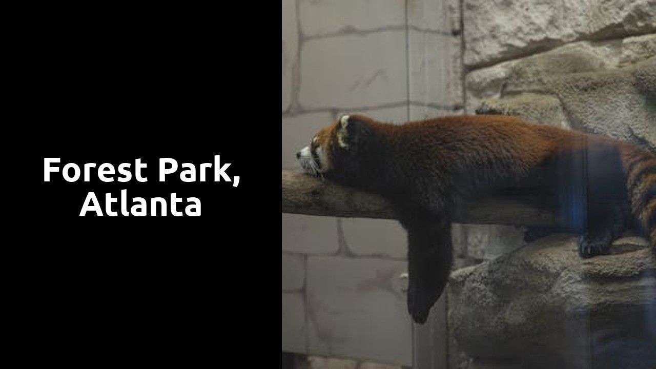 A red panda is laying on a rock in a zoo enclosure. A red panda is laying on a rock in a zoo enclosure.