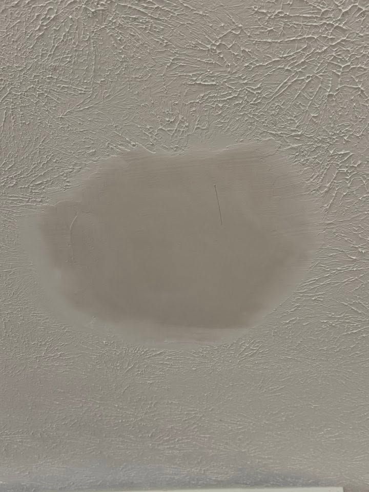 Pale gray water stain on a white textured ceiling