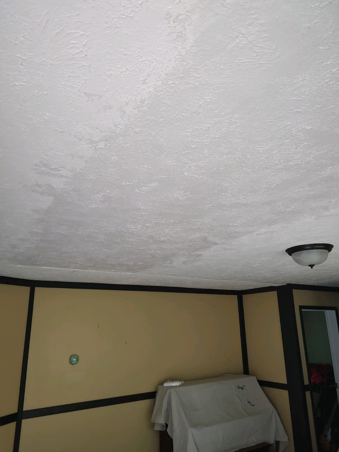 Ceiling and upper wall of a room with beige walls, dark trim, a covered appliance, and a ceiling light.