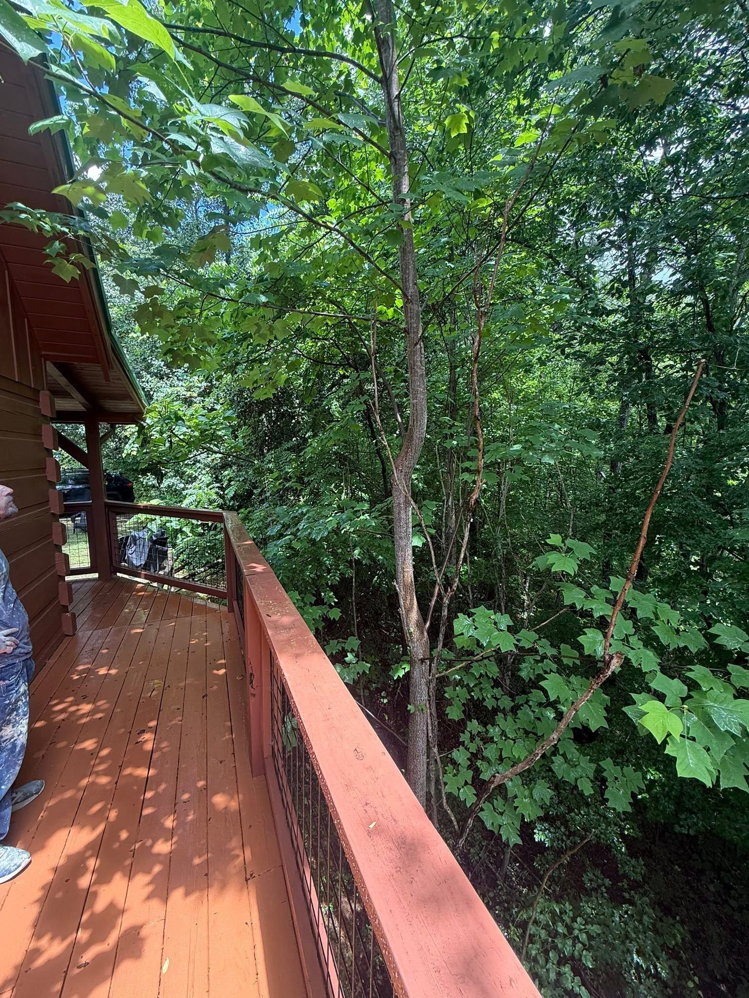 Wooden deck walkway beside a house, bordered by railings and surrounded by dense green trees.