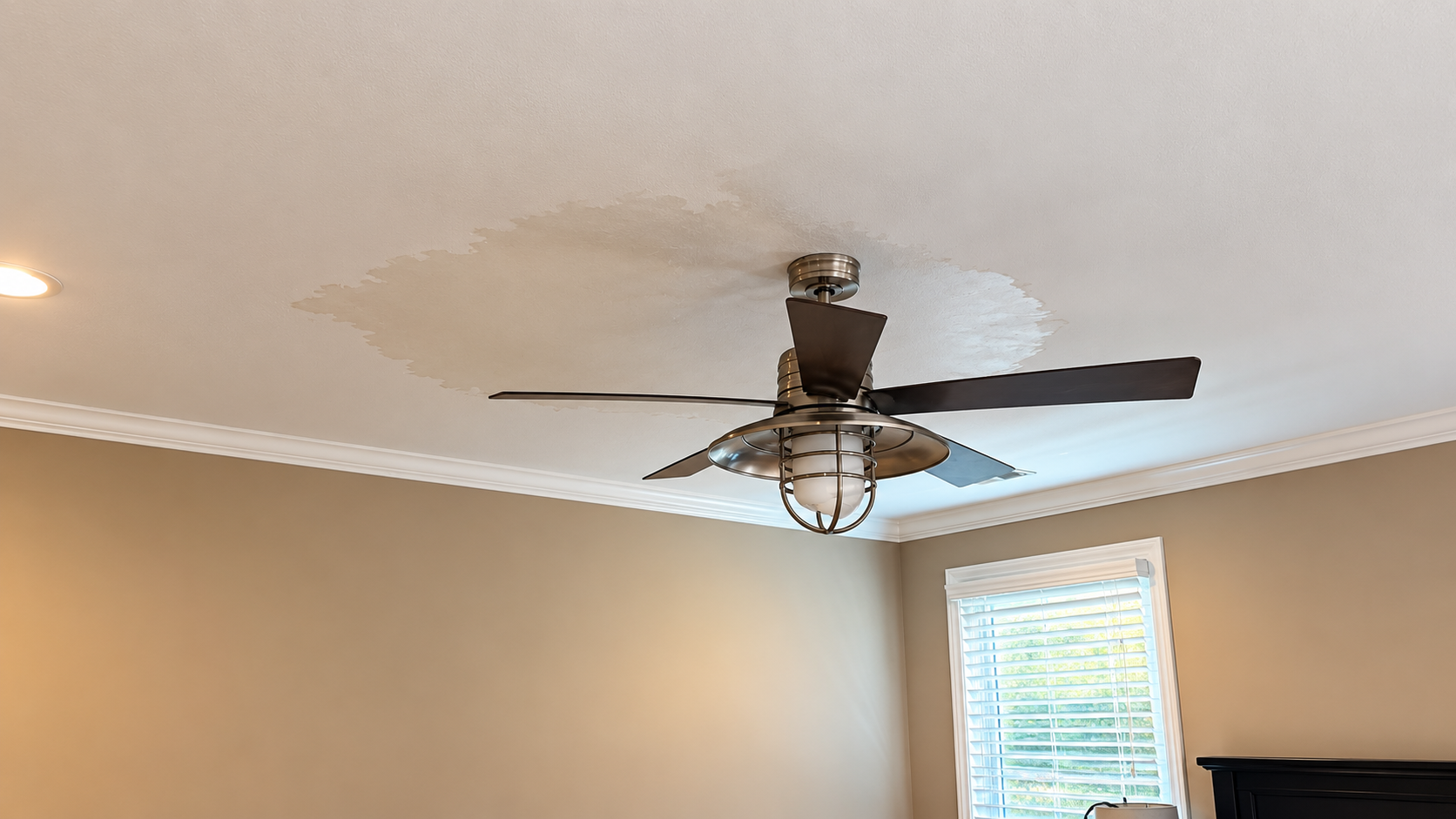 Ceiling fan with light in a beige room near a window and white crown molding